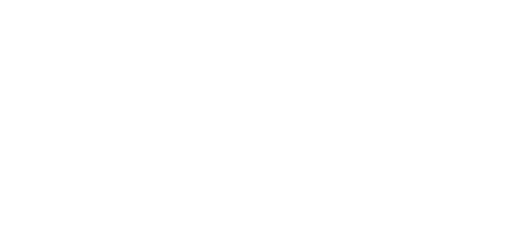 Fortify and Conquer logo